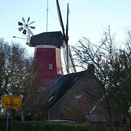 *schmitz - *