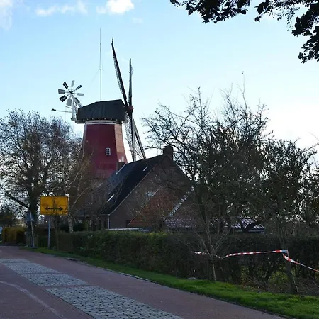 *schmitz - *
